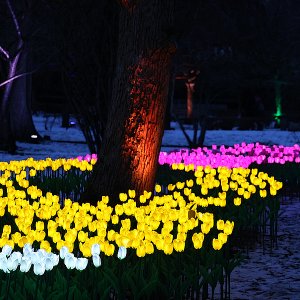 Parkleuten in Essen...... Sabine Schröder